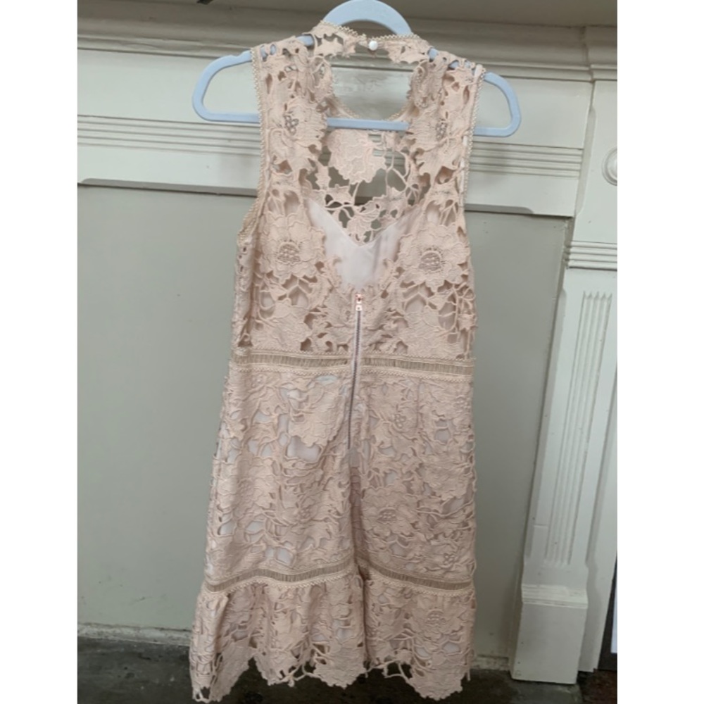 Saylor blush lace dress - Picture 4 of 4